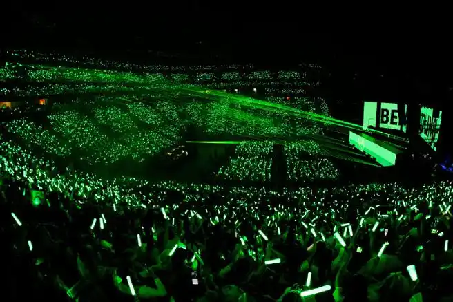 王源演唱会上的绿海