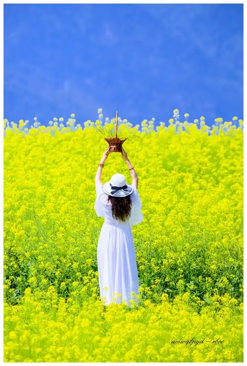 背影让人更沉思,伫立在洒满阳光的湖边,蓦然回首,你何尝不是别人眼中