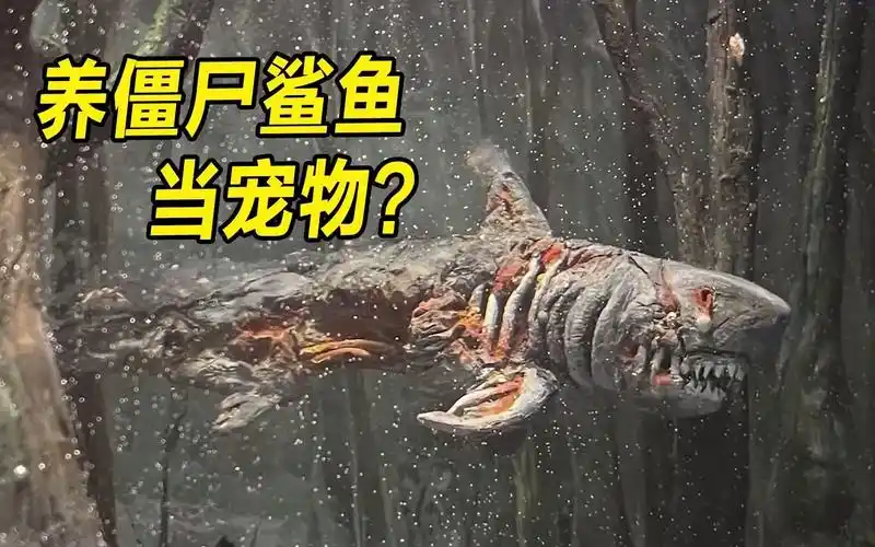 模型:男孩救下鲨鱼宝宝,养大后发现是僵尸鲨鱼,家人都被噶了?