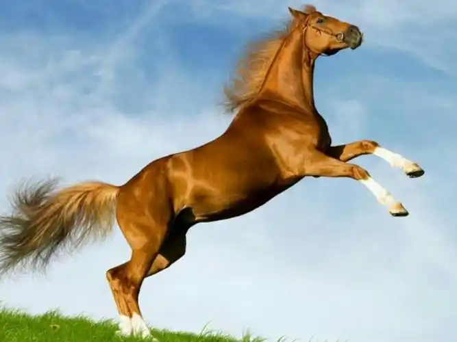 创业不是随随便便的事