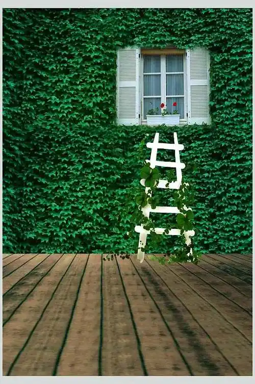 绿叶拍照背景图片