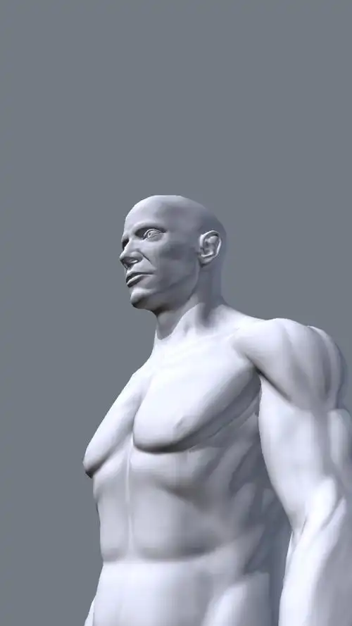 人体模型多方位参考