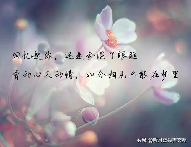 默默牵挂一个人的说说图片夜深想念人的短句