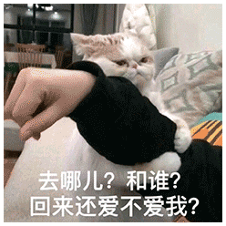 表情包 | 情侣专属可爱表情包