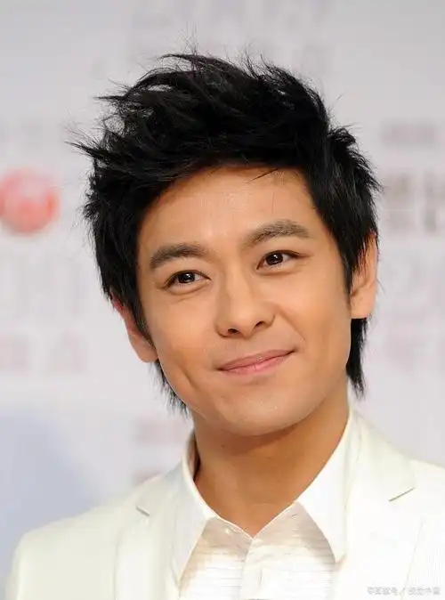 林志颖跨足音乐影视与慈善领域的华语大师