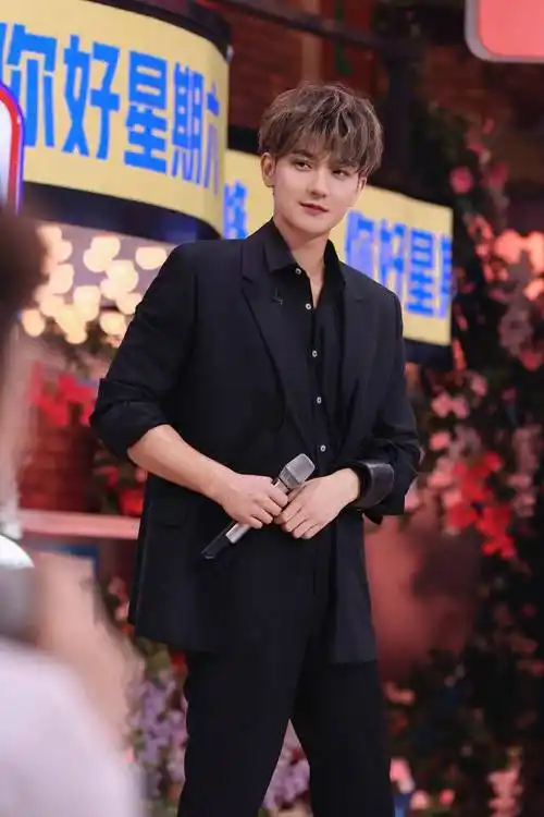 黄子韬演唱会降价仍滞销,生病被群嘲,粉丝自嘲是大冤种_门票_声明