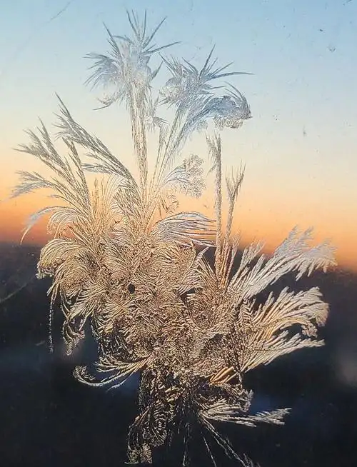 美景蕴藏冰凌花,发个图片笑哈哈!