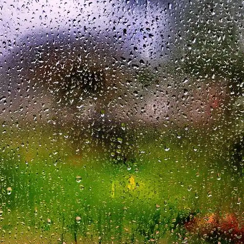 雨景印象_风景_poco摄影