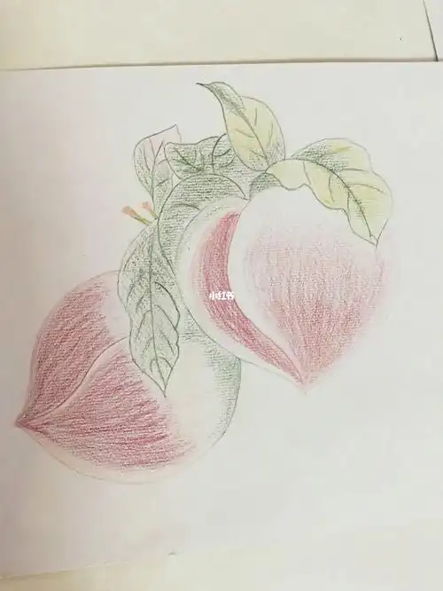 临摹画最近喜欢彩铅画初学者多多指教