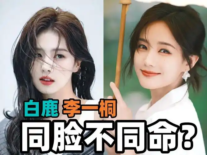 李一桐vs白鹿,为什么傻傻分不清?