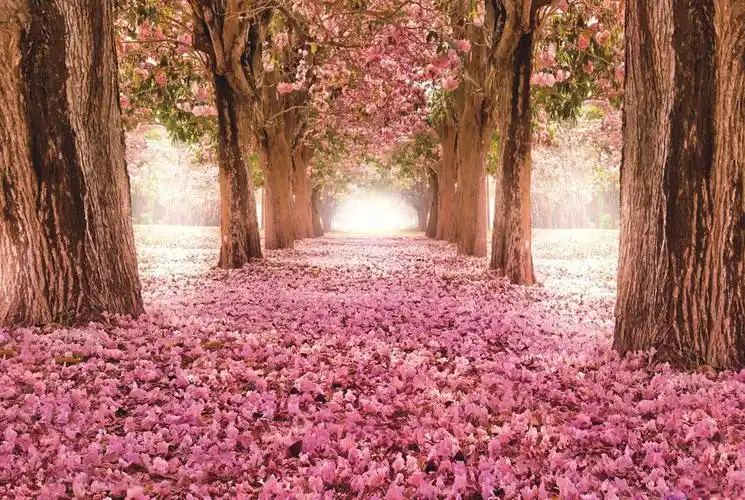 爆款1000片纸质平面拼图风景唯美拼图成人超难智力拼图跨境货源