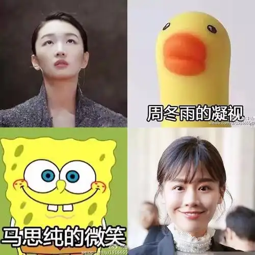 这两年风风火火差不多哪里有海绵宝宝哪里就有小黄鸭——周冬雨