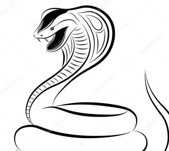 毒蛇|蛇类|毒液|眼镜蛇|水生动物|国家二级保护动物_网易订阅