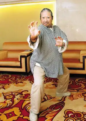 洪金宝中国真功夫挖掘功夫巨星