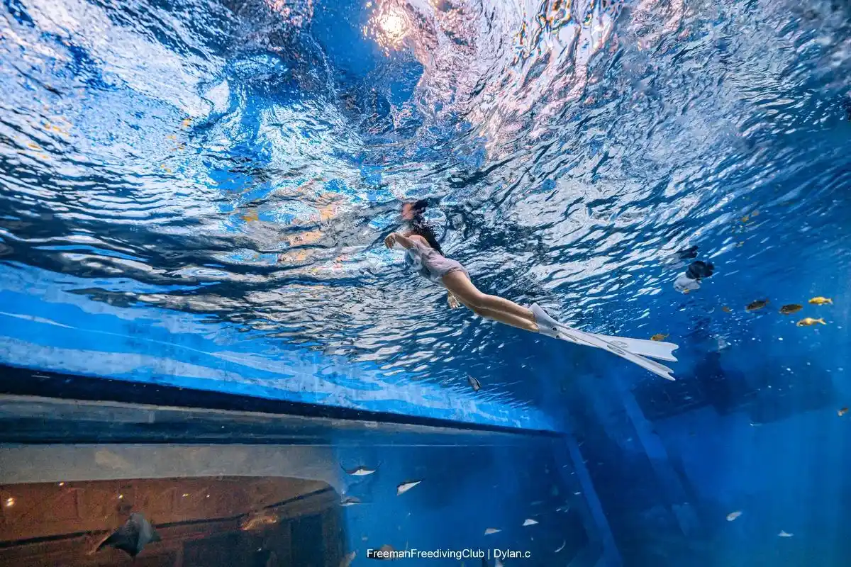 朵儿第一次在三亚潜水!#朵大胆#水底摄影#和小黄鱼共舞!#感 - 抖音