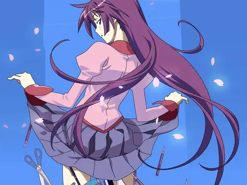 化物语第二辑高清桌面壁纸 化物语,日本动漫,人气动漫,win7壁纸,羽川