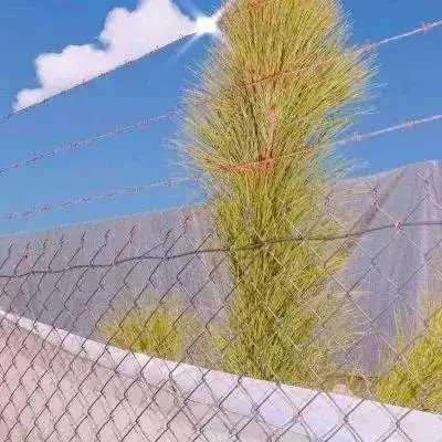 适合父母用的好运微信头像图片大全_风景头像_美头网