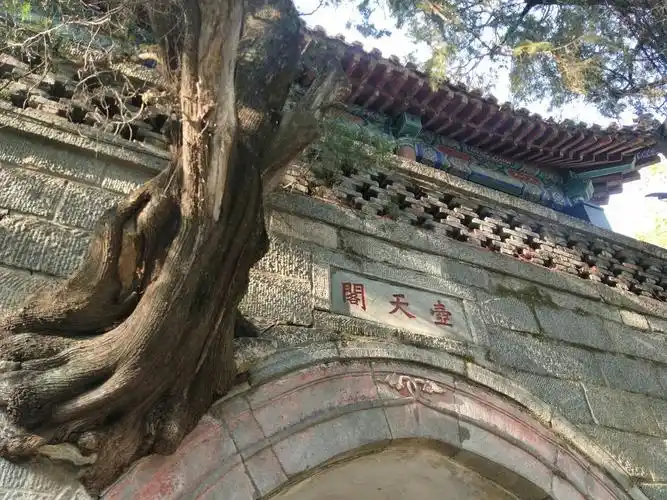 2023壶天阁游玩攻略,.里面还有一棵大树丛中延伸.【去哪儿攻略】