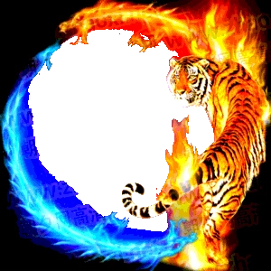 双龙圆环一头火焰老虎爆款头像在线制作底图 - 朝夕网