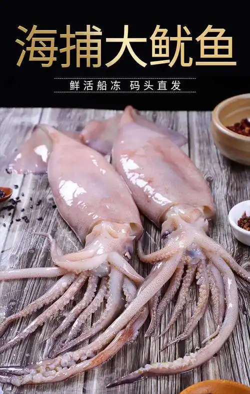 大鱿鱼整只新鲜冷冻大鱿鱼野生鲜鱿鱼鱿鱼须鱿鱼头精选优质大个头