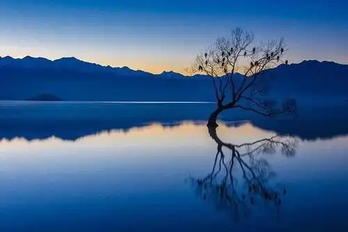 构图水平高不高,就看你会不会用这 4 种线条!