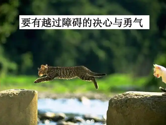 要有越过障碍的决心与勇气