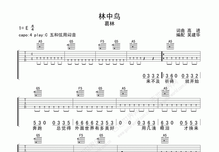 林中鸟曲谱图片