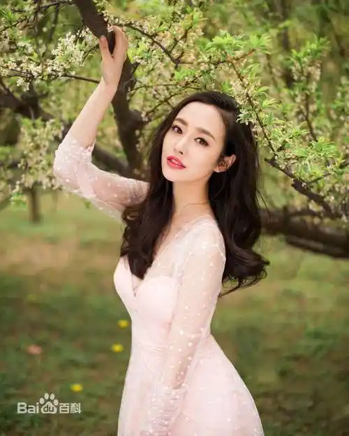 高颖是谁演的高颖扮演者天生要完美高颖