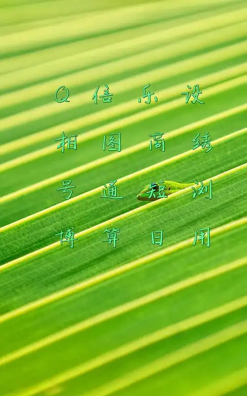 文字图片制作-在线图片加水印