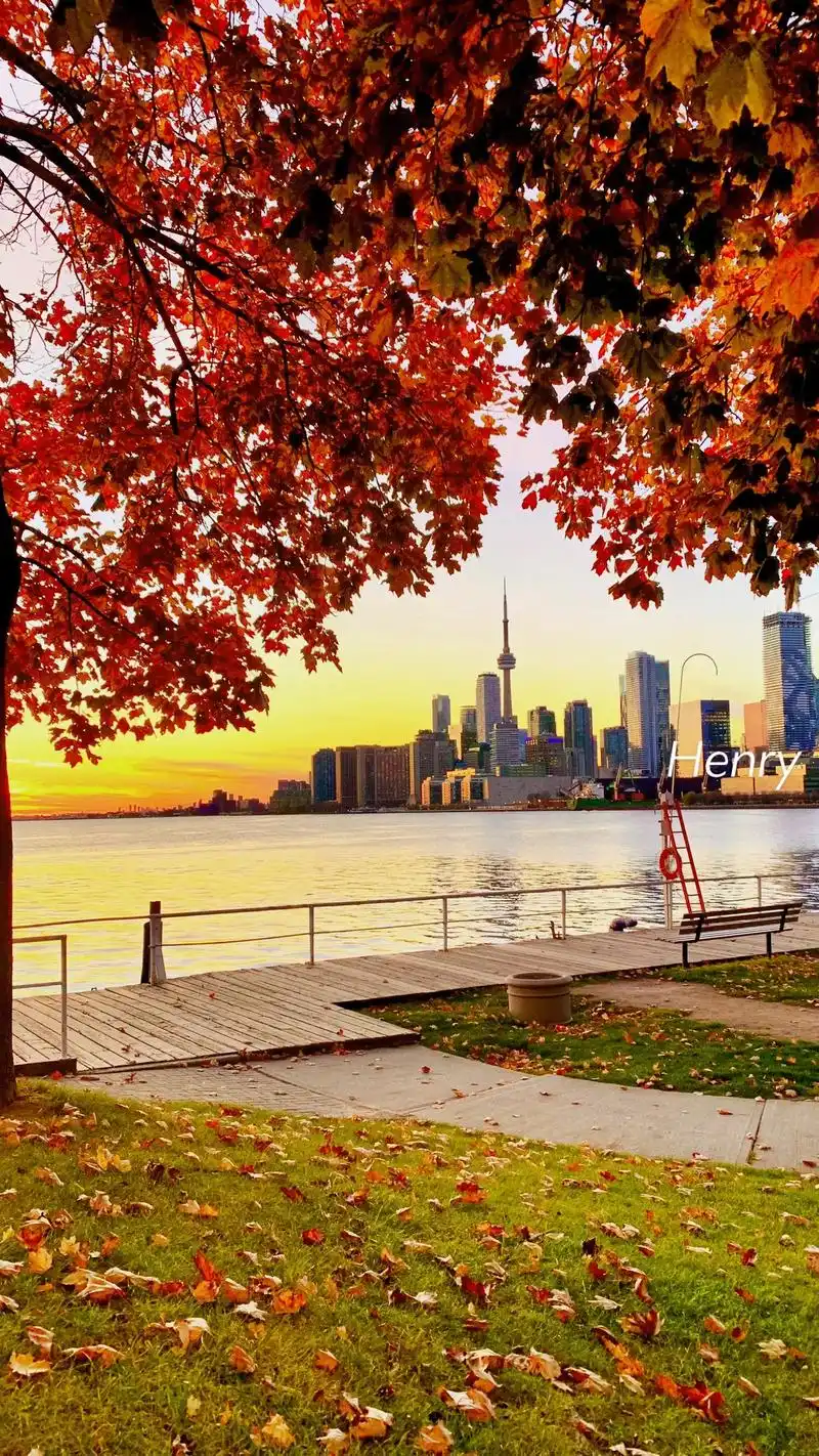 原创 #多伦多生活 #加拿大 #旅行图文激 - 抖音