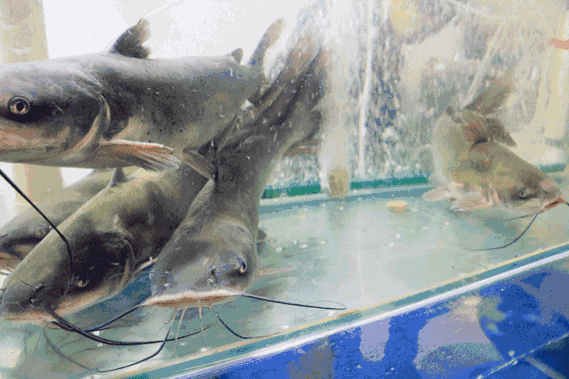 640_426gif 动态图 动图