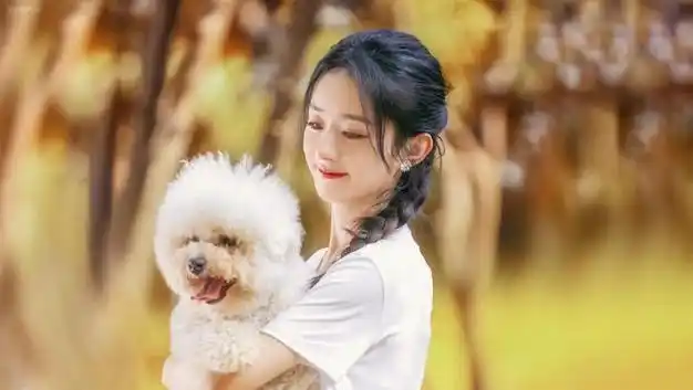 娱乐点评:赵丽颖,李现,蔡徐坤,白鹿,黄晓明,王阳|老狼|女明星_网易