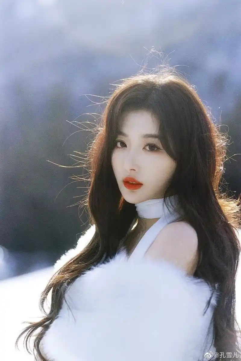 孔雪儿 中国女歌手,蜜蜂少女队成员