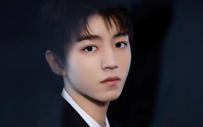 王俊凯帅气西装写真桌面壁纸-大陆明星-壁纸下载-美桌网