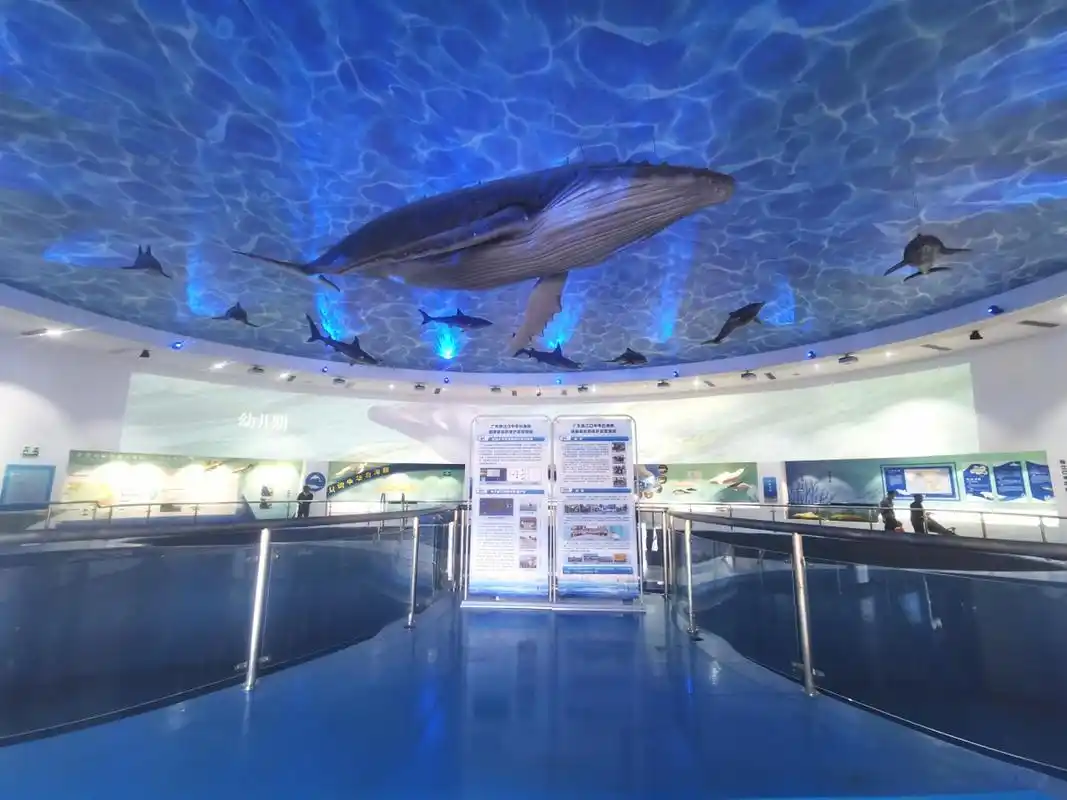 南京科技馆,神奇的不仅仅是科技:智慧之光,一次启迪心灵的科技之旅!