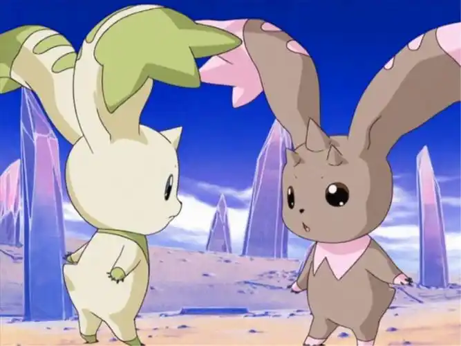 黑大耳兽,大耳兽而两个数码宝贝的主要进化路线也是有所不同的,大耳兽