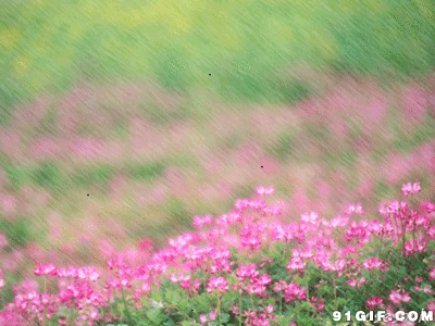一组唯美的治愈系动态图分享给你,唯美意境动图也是一种情怀