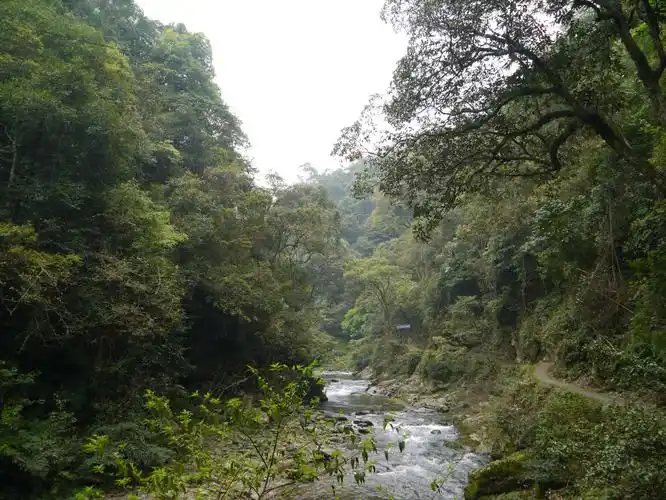 云桂黔川十万大山