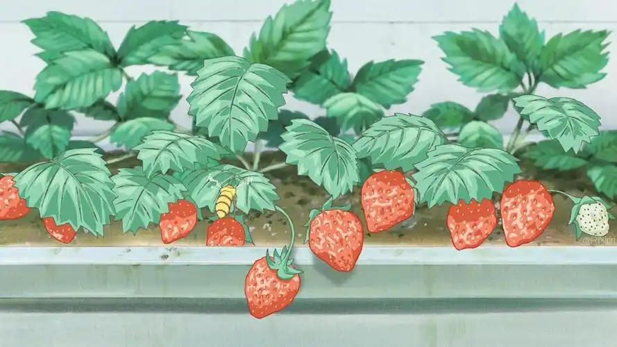 二次元夏天 - 堆糖,美图壁纸兴趣社区