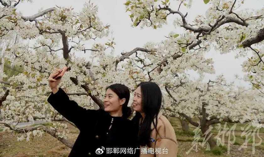 这么近那么美周末到河北春游河北赏百花宣传推广活动正式启动