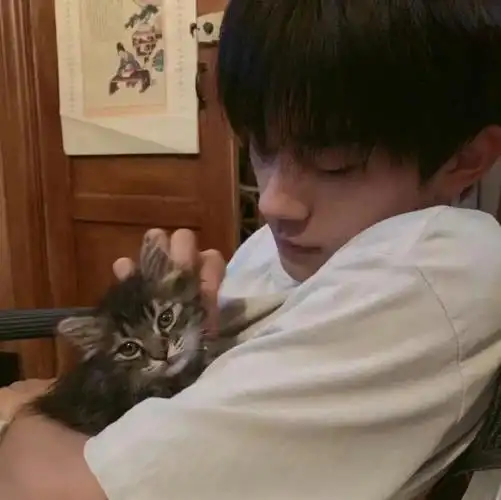 易烊千玺氛围感头像