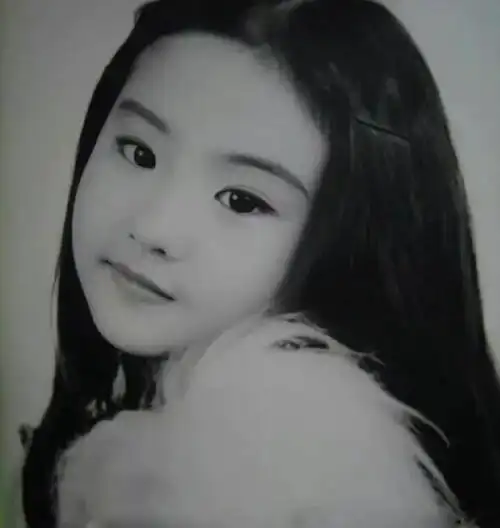 美国邻居出书,曝刘亦菲及母亲,在美国二婚的生活细节!