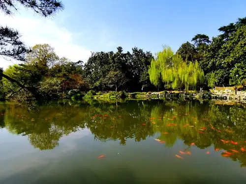 满园春色关不住,口罩下的西湖花港观鱼
