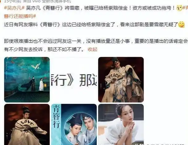 万万没想到,高亚麟塌房后,受伤最深的却是杨紫,养老保险都没了