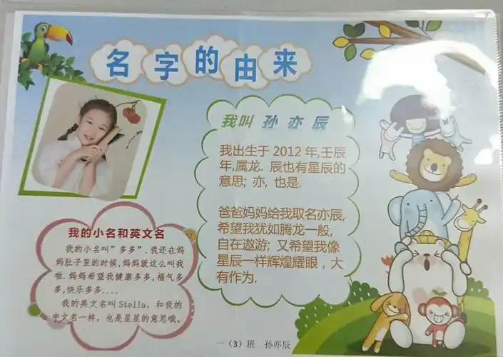 名字的由来,孩子们第一次专题小报