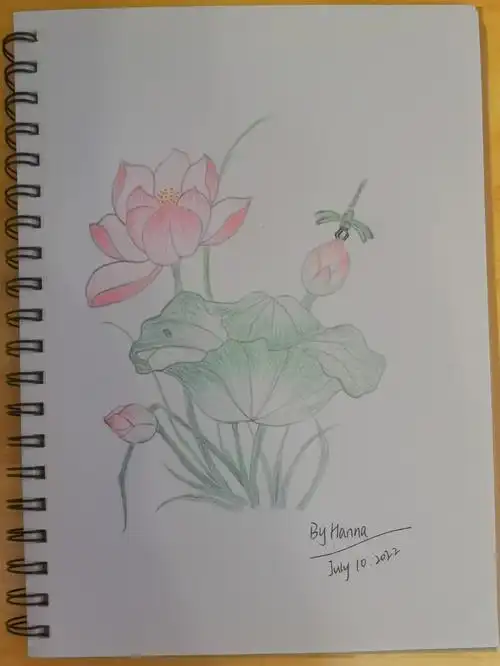 小荷才露尖尖角早有蜻蜓立上头