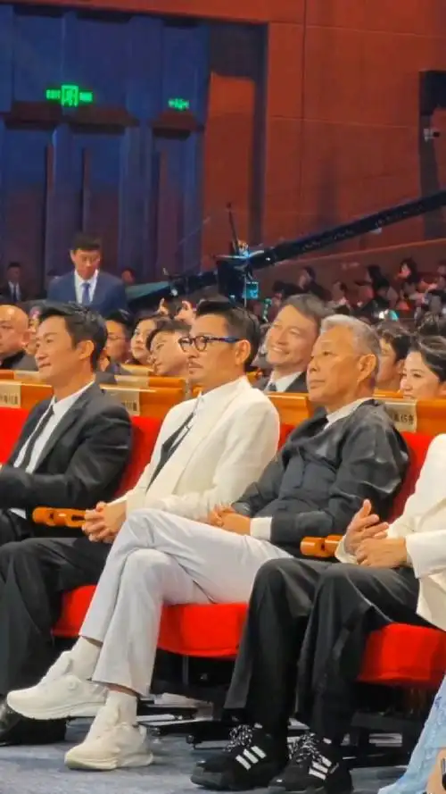 刘德华留胡子的样子好有魅力