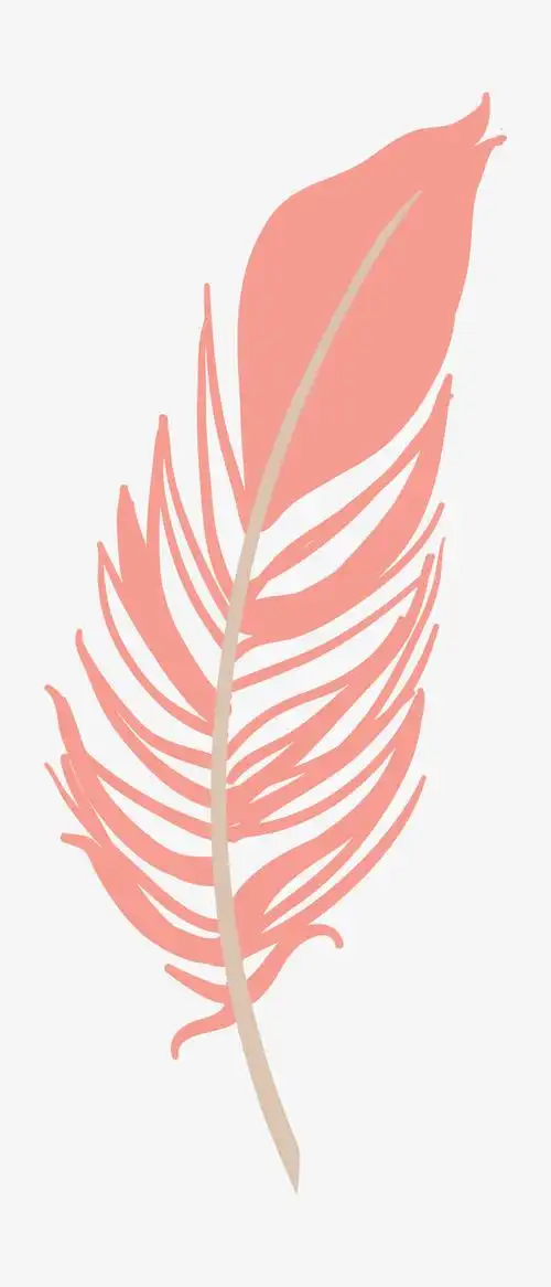 手绘粉色羽毛图案