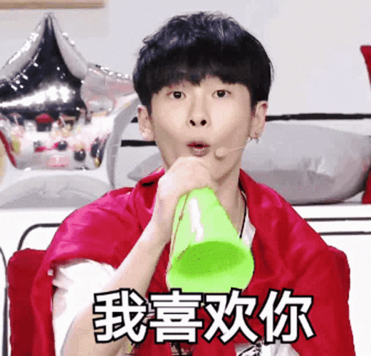 r1se: 周震南 何洛洛 焉栩嘉 夏之光 姚琛 翟潇闻 张颜齐 刘也 任豪