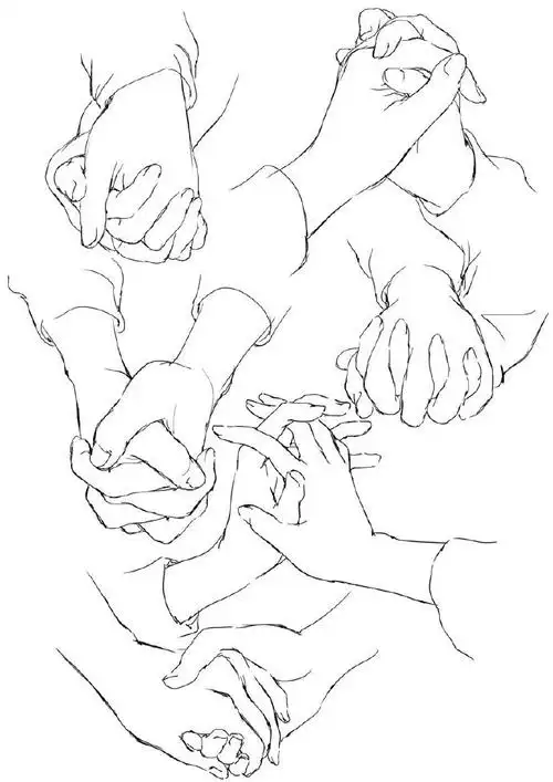 握着的手绘制参考 | 画师toshi